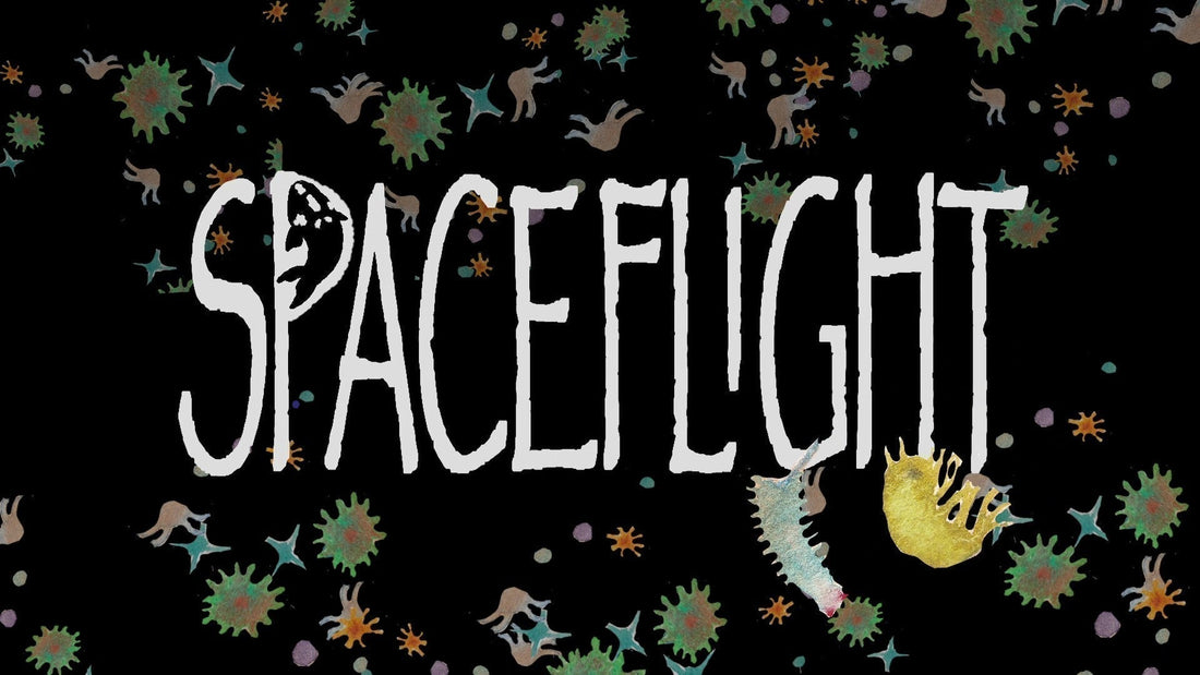 Right Whale Festival: Premier of my short film