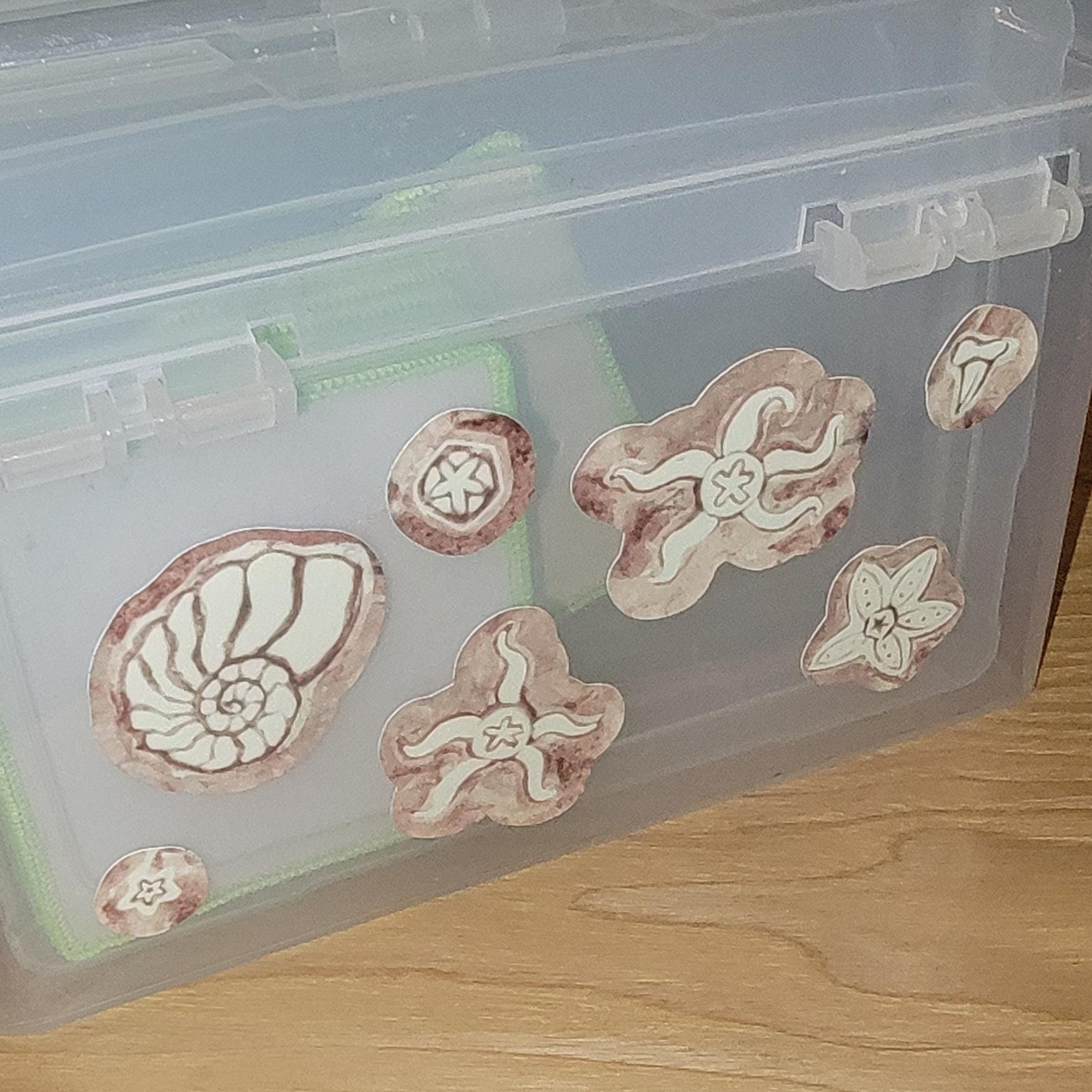 Sticker Sheet Glow in the Dark Fossil Sea Star Watercolor Art