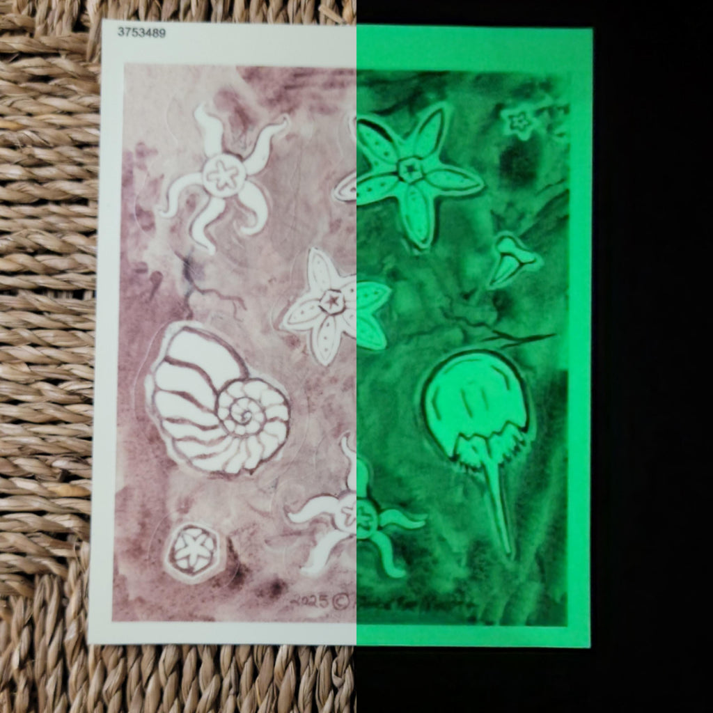 Sticker Sheet Glow in the Dark Fossil Sea Star Watercolor Art