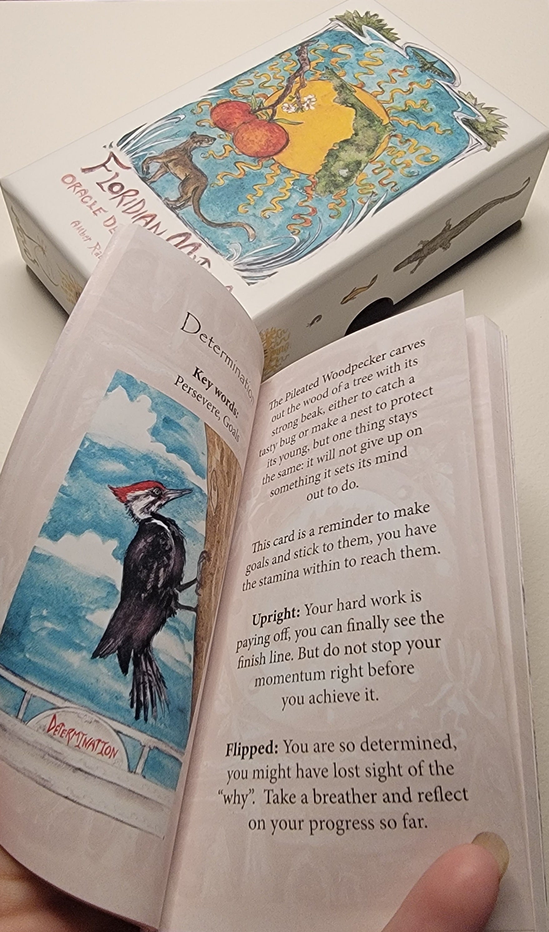 Floridian Mythos Oracle Deck Divination Nature Themed Tarot Cards
