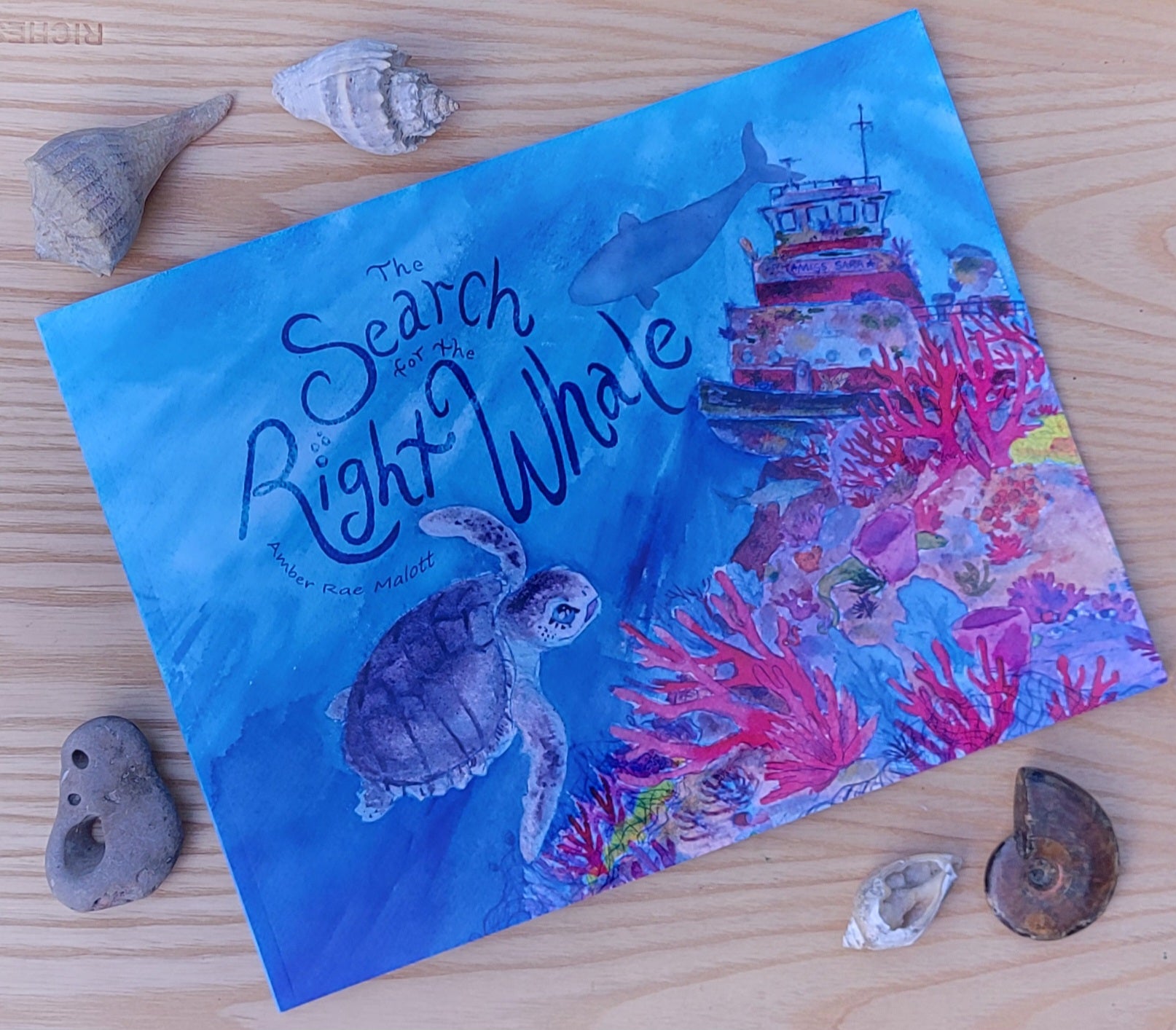 The Search for the Right Whale Children's Paperback Book