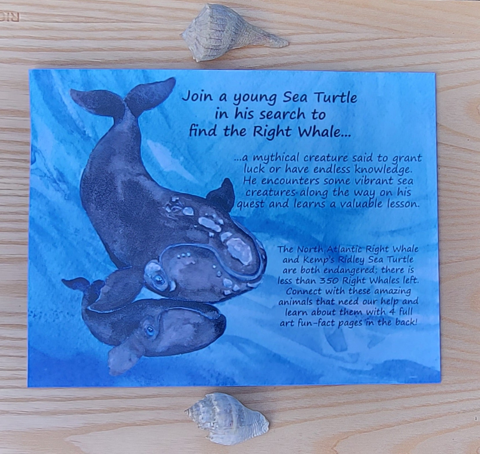 The Search for the Right Whale Children's Paperback Book