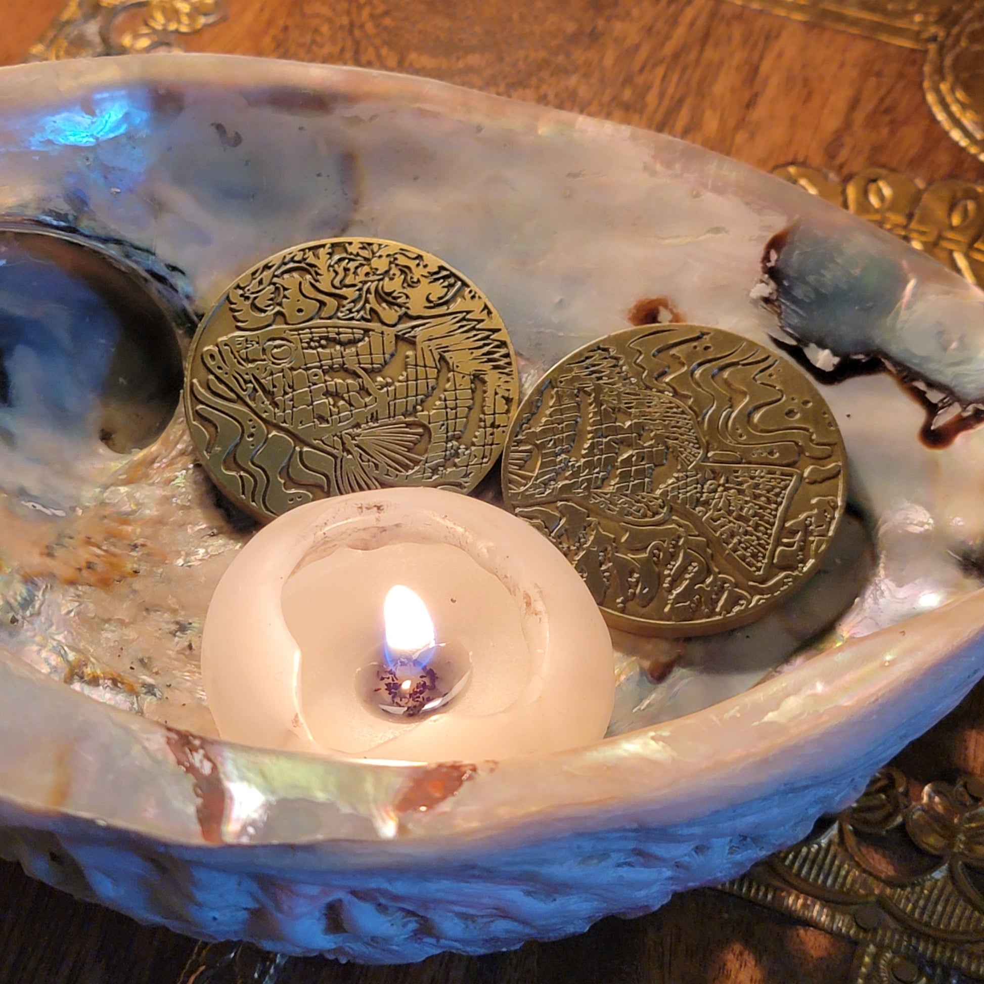 Nassau Grouper Decision Coin, Floridian Mythos Oracle Companion - Divination Tool