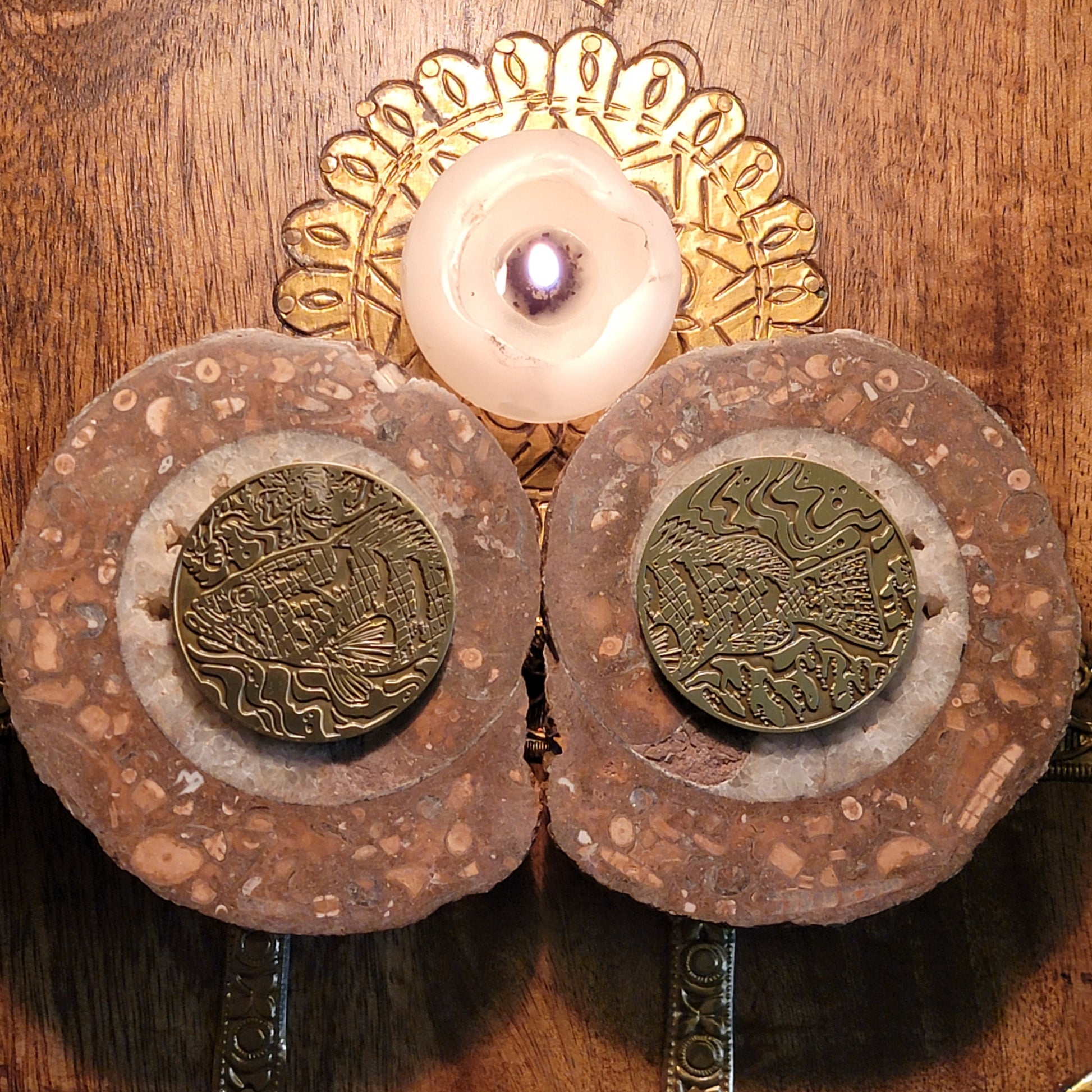 Nassau Grouper Decision Coin, Floridian Mythos Oracle Companion - Divination Tool