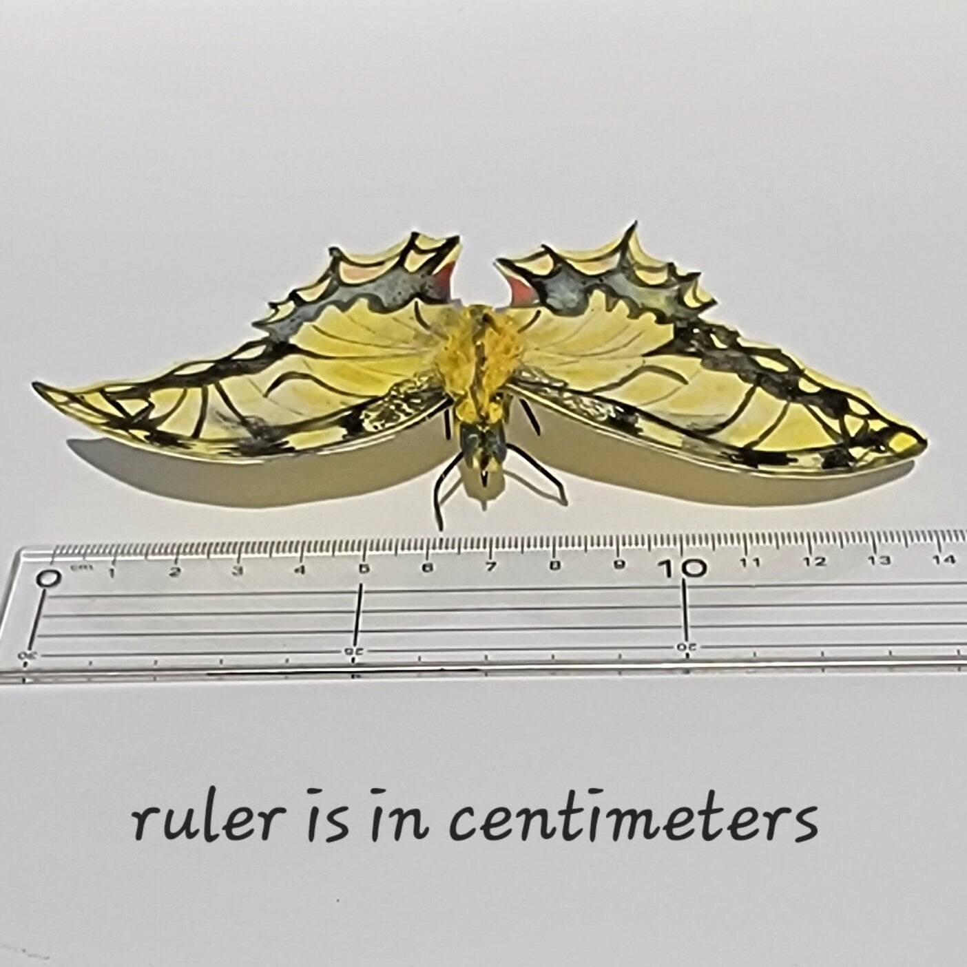 Tiger Swallowtail Butterfly Paperclay Sculpture Figurine