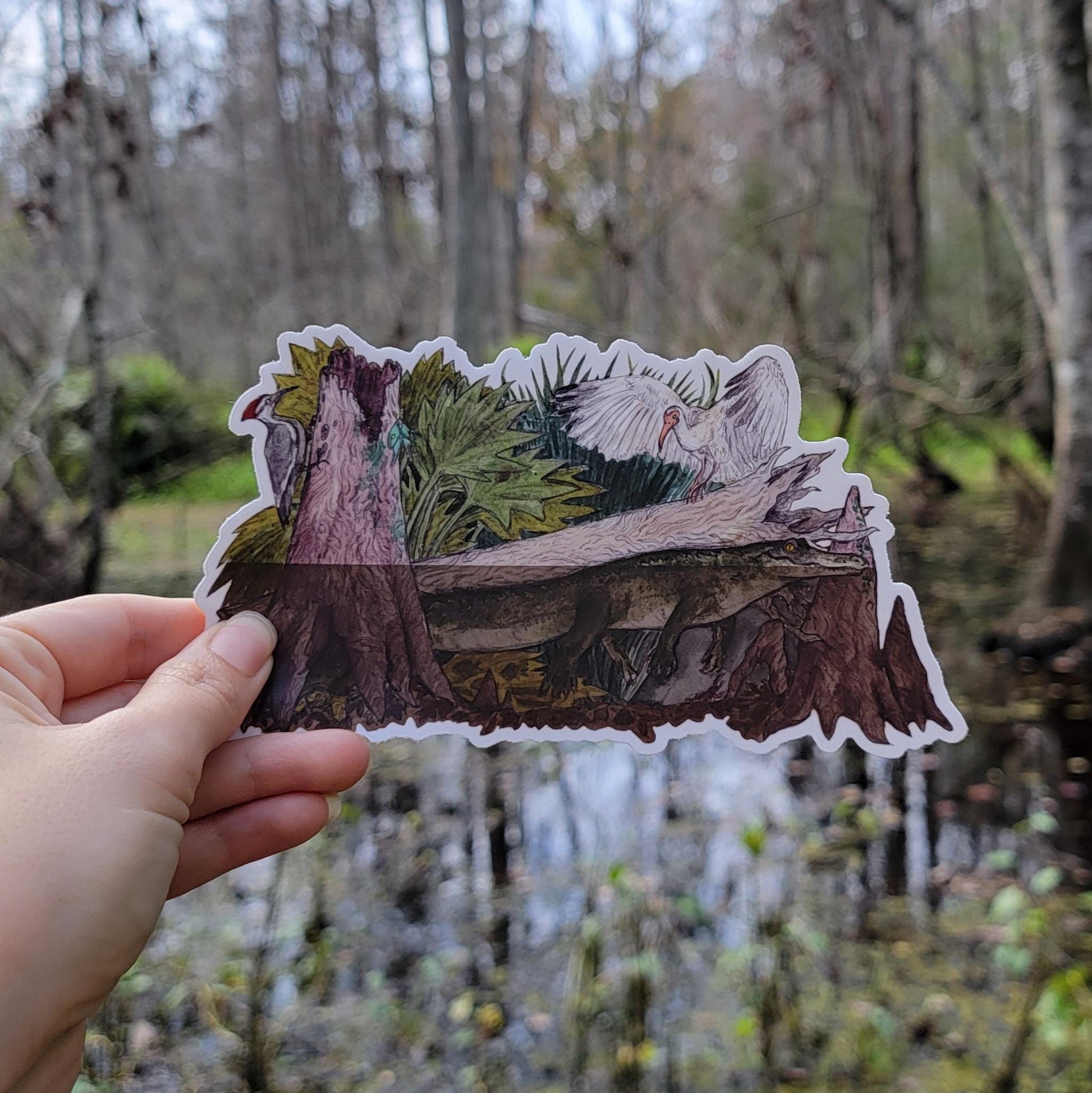 Bumper sticker! Florida Camouflage Art: Alligator, Ibis, Woodpecker, snapping turtle