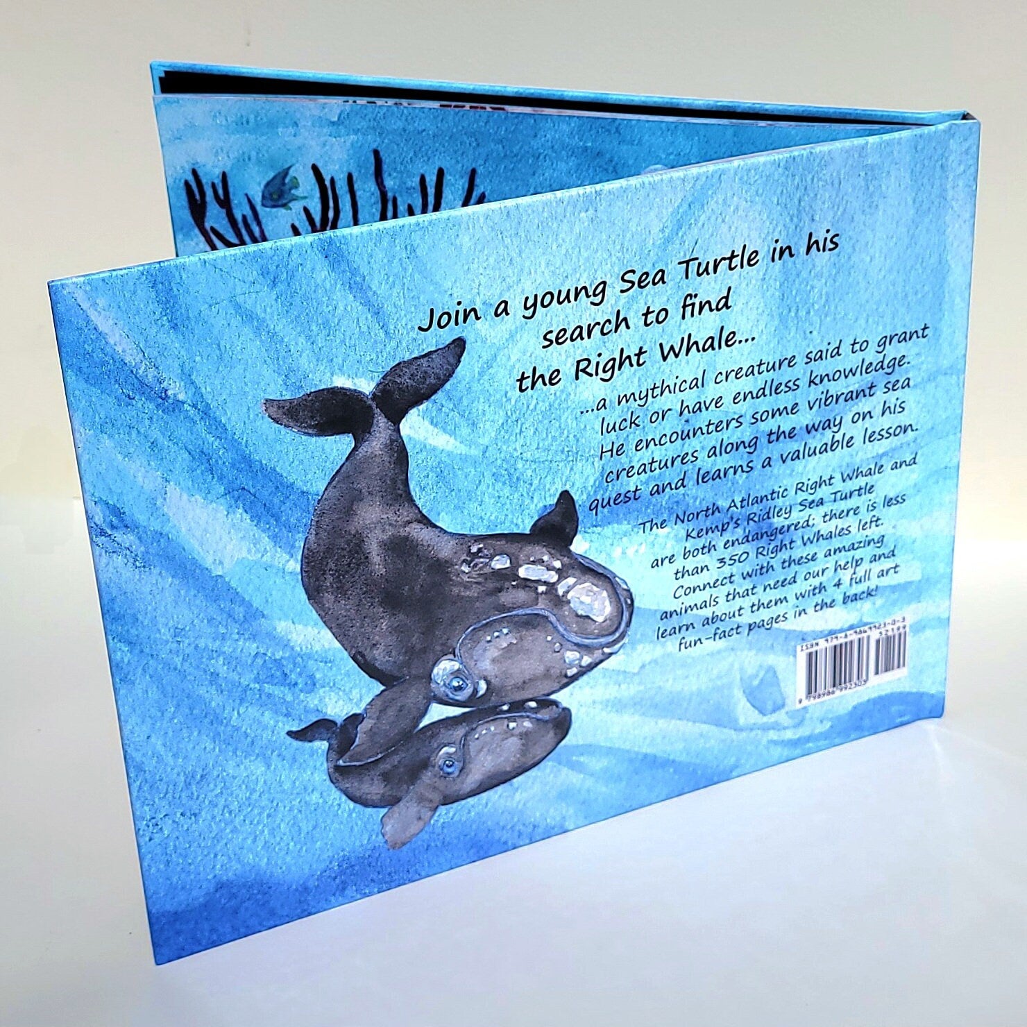 The Search for the Right Whale Children's Book