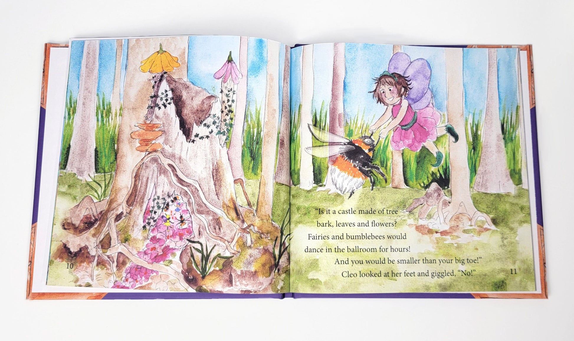 Cleo's Castle Children's book