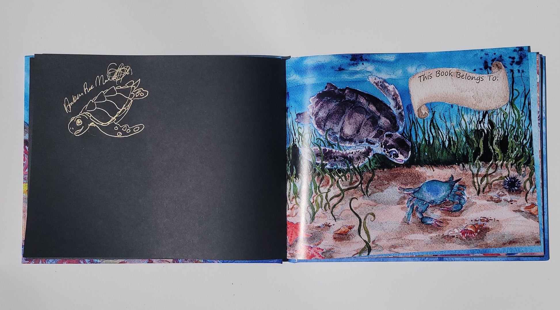 The Search for the Right Whale Children's Book