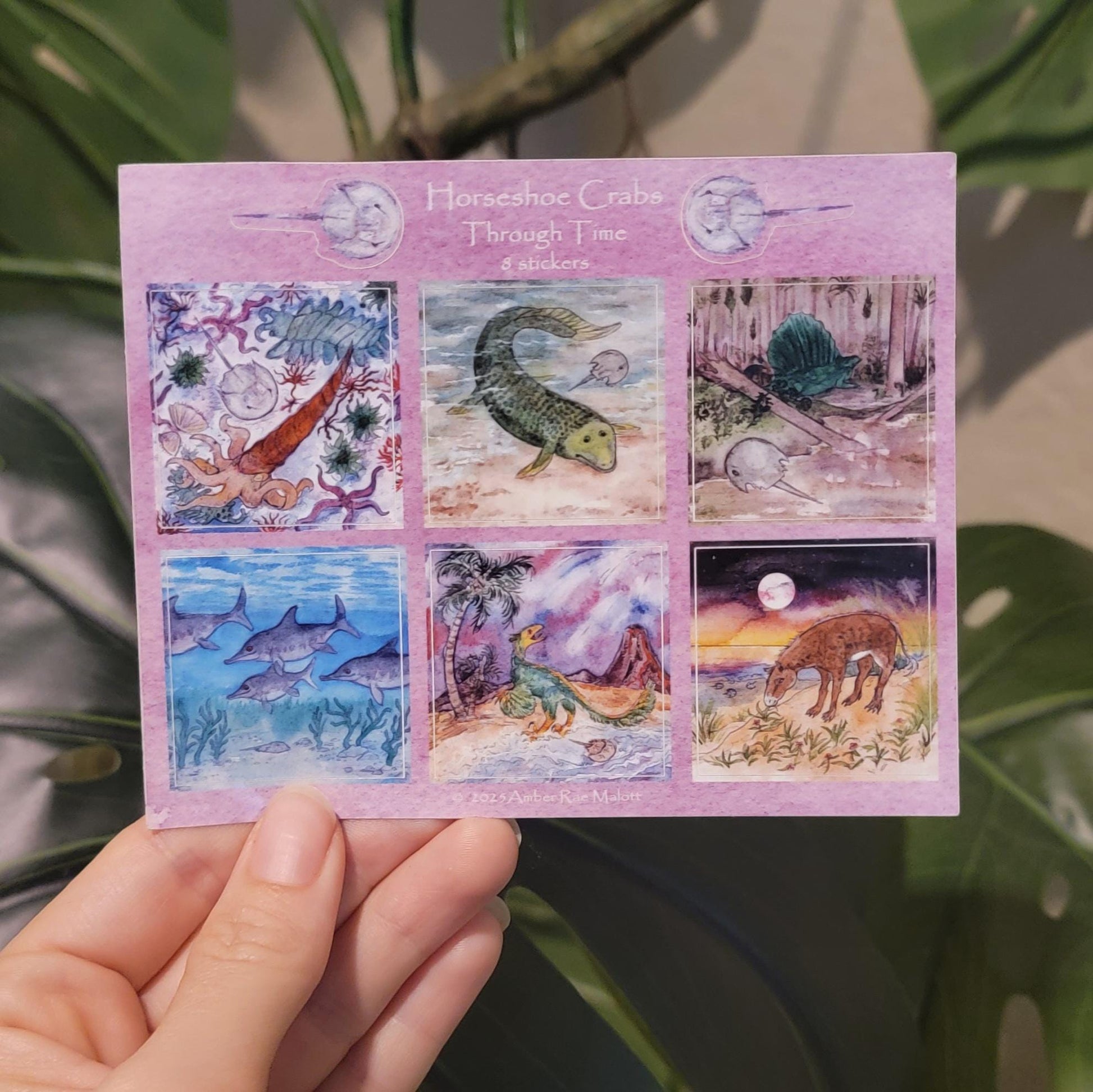 Sticker Sheet Horseshoe Crabs Through Time Watercolor Art