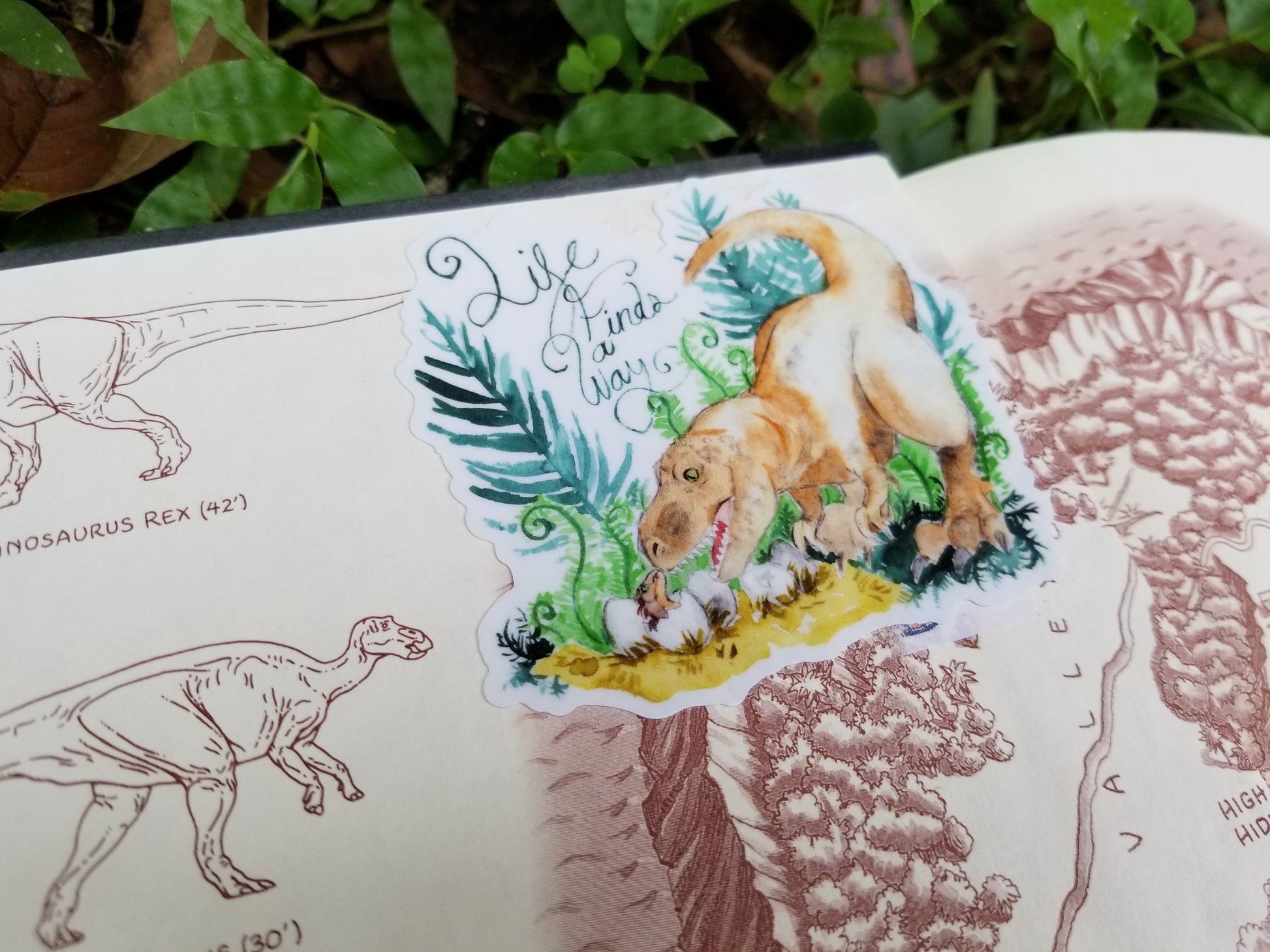 Jurassic Park Lost World Life Finds a Way Sticker