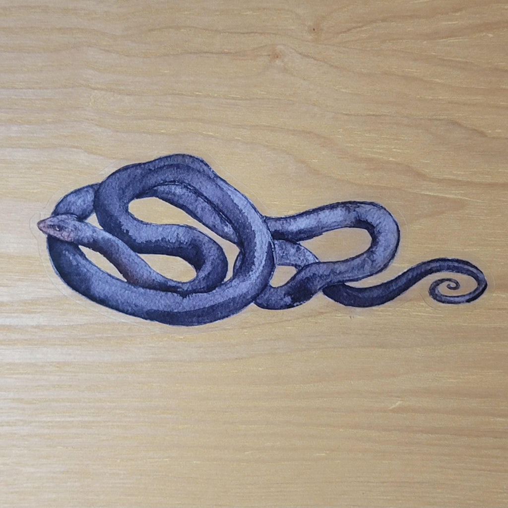 Transparent Vinyl Sticker Indigo Snake Watercolor Art