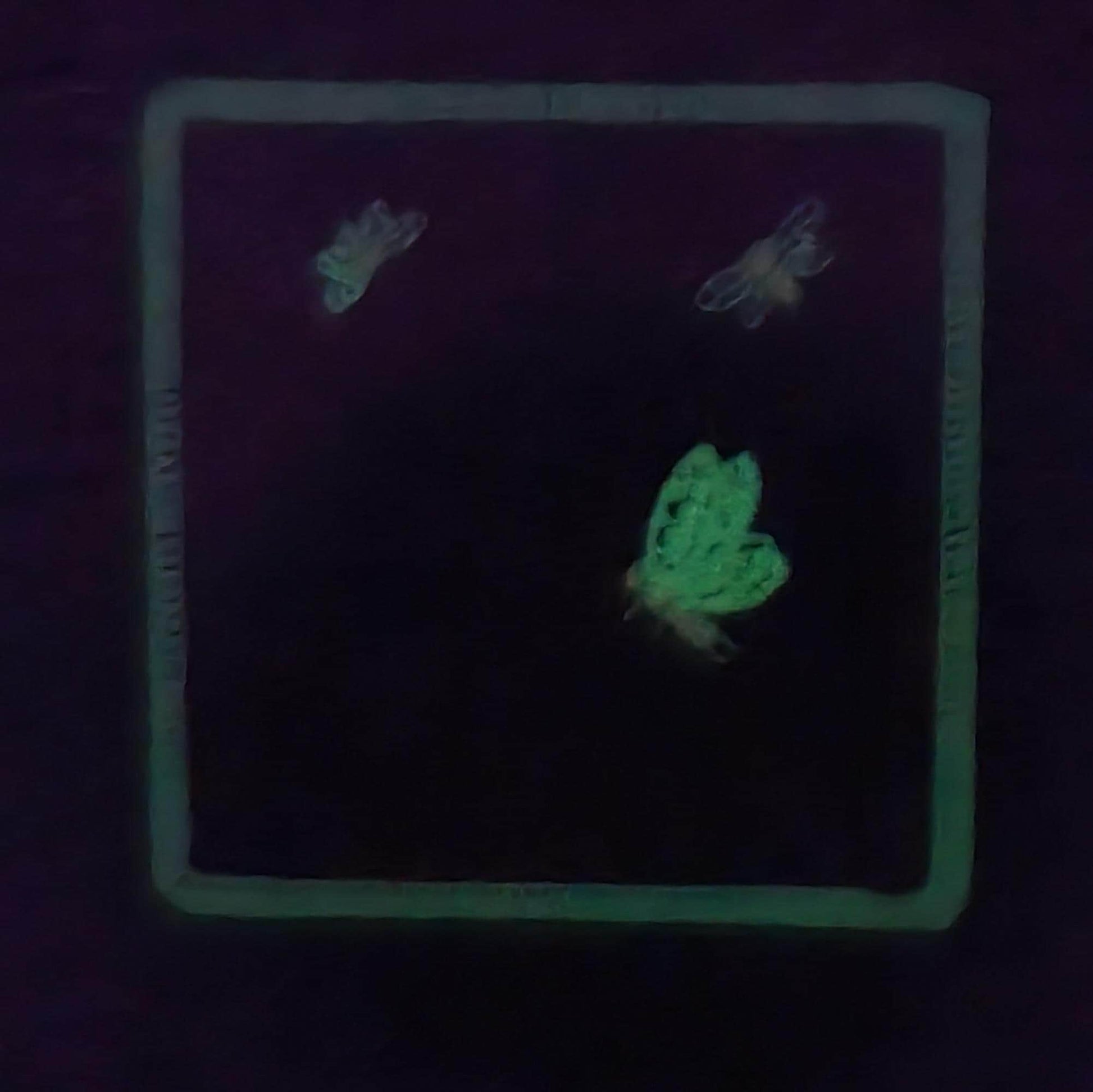 Glow in the Dark, Iron-On Patch:  Carboniferous Swamp Edaphosaurus Paleo Art