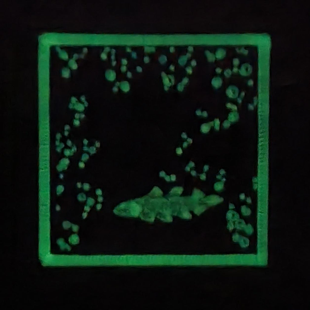 Glow in the Dark, Iron-On Patch: Triassic Ichthyosaurus Coelacanth Paleo Art