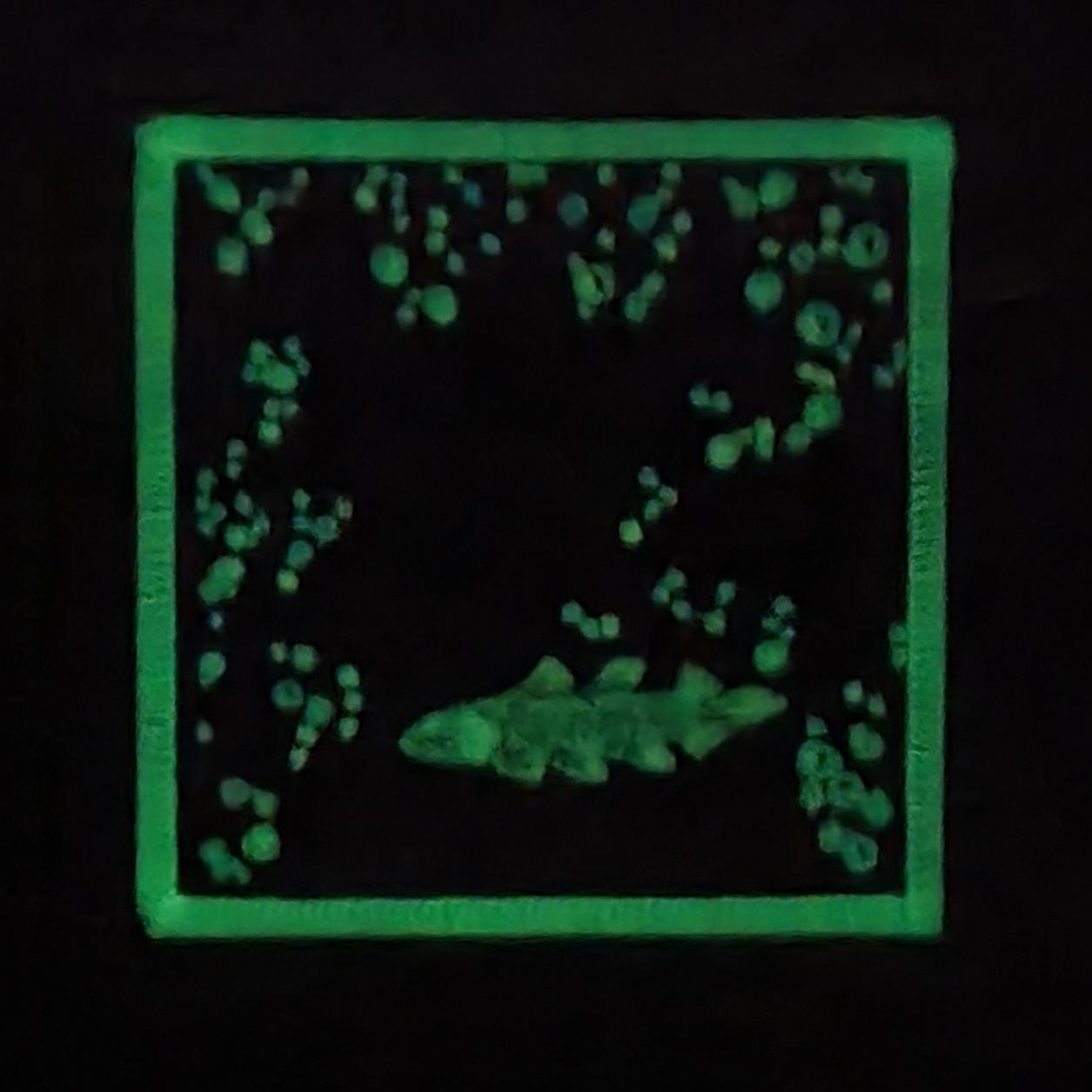 Glow in the Dark, Iron-On Patch: Triassic Ichthyosaurus Coelacanth Paleo Art