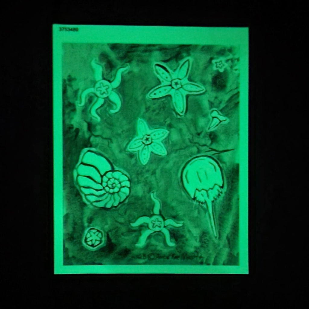 Sticker Sheet Glow in the Dark Fossil Sea Star Watercolor Art