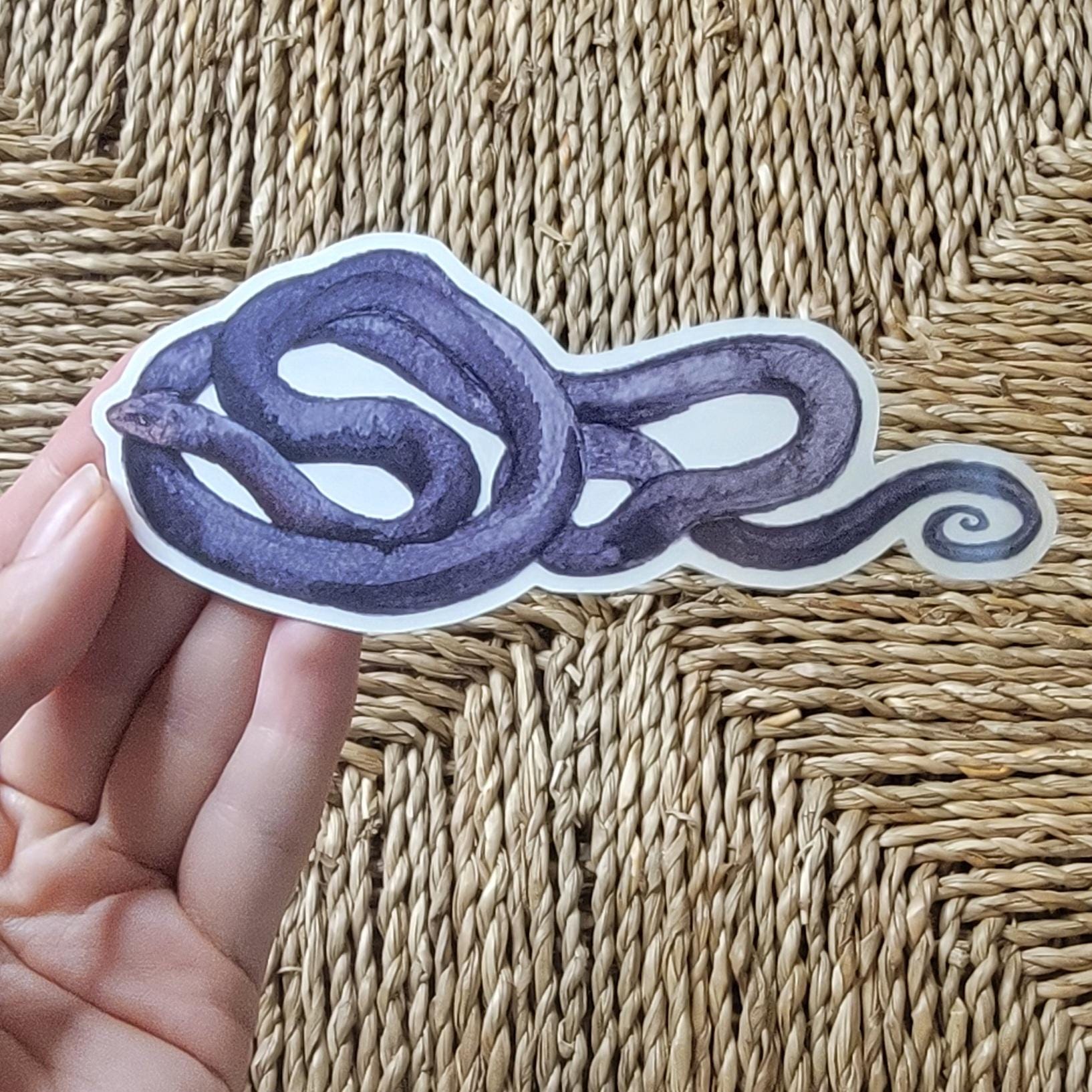 Transparent Vinyl Sticker Indigo Snake Watercolor Art
