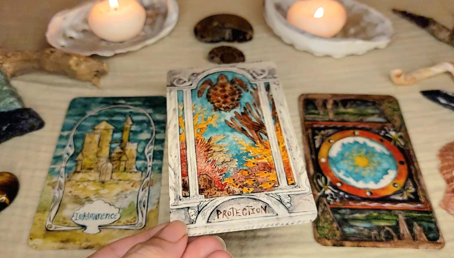Floridian Mythos Oracle Deck Divination Nature Themed Tarot Cards