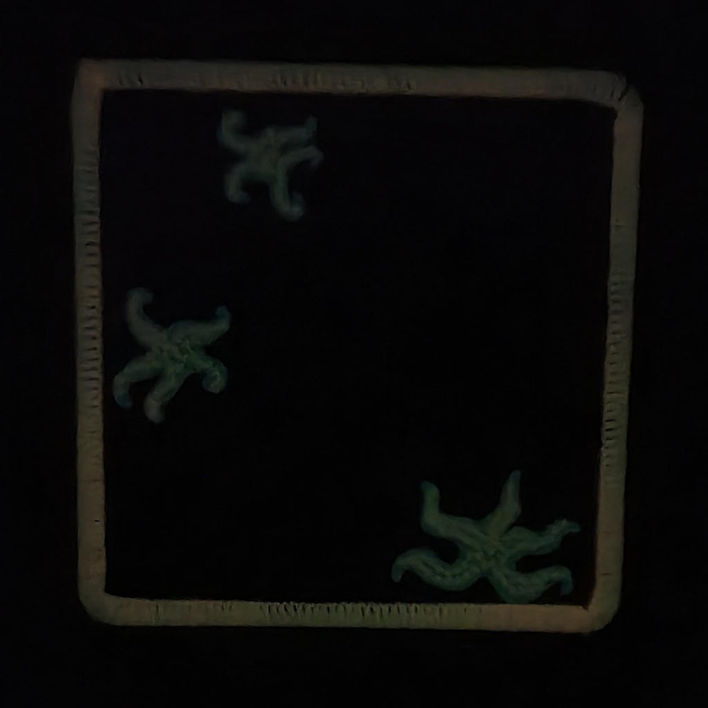 Glow in the Dark, Iron-On Patch: Ordovician Lively Sea Paleo Art