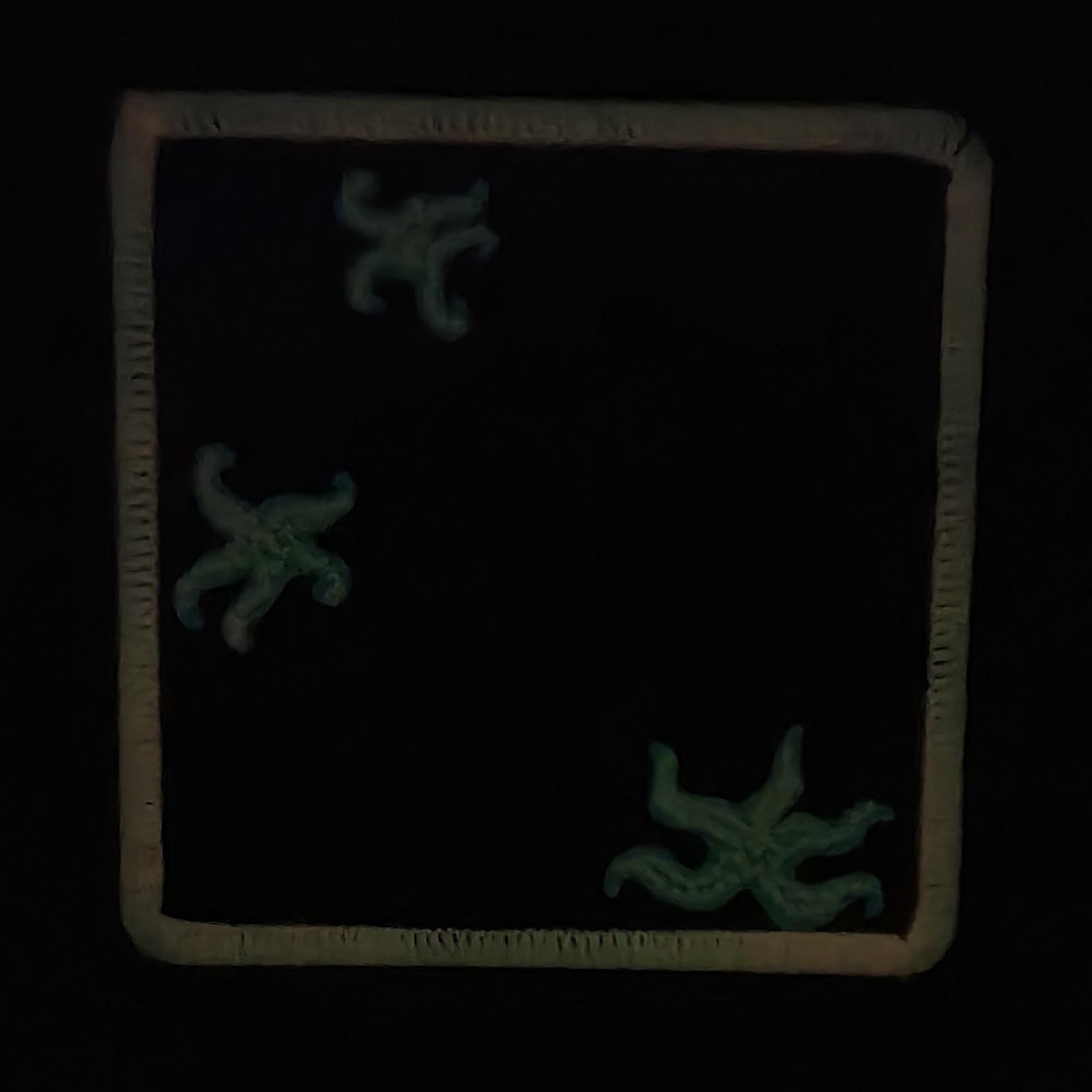 Glow in the Dark, Iron-On Patch: Ordovician Lively Sea Paleo Art